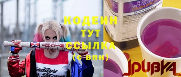 apvp Алзамай