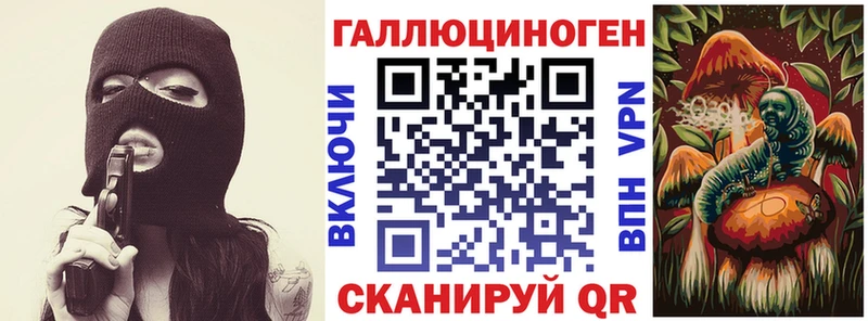 Псилоцибиновые грибы Psilocybe  Тобольск 